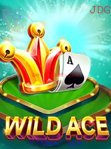 Descobrindo o Fascinante Mundo de WildAce: Um Guia Completo